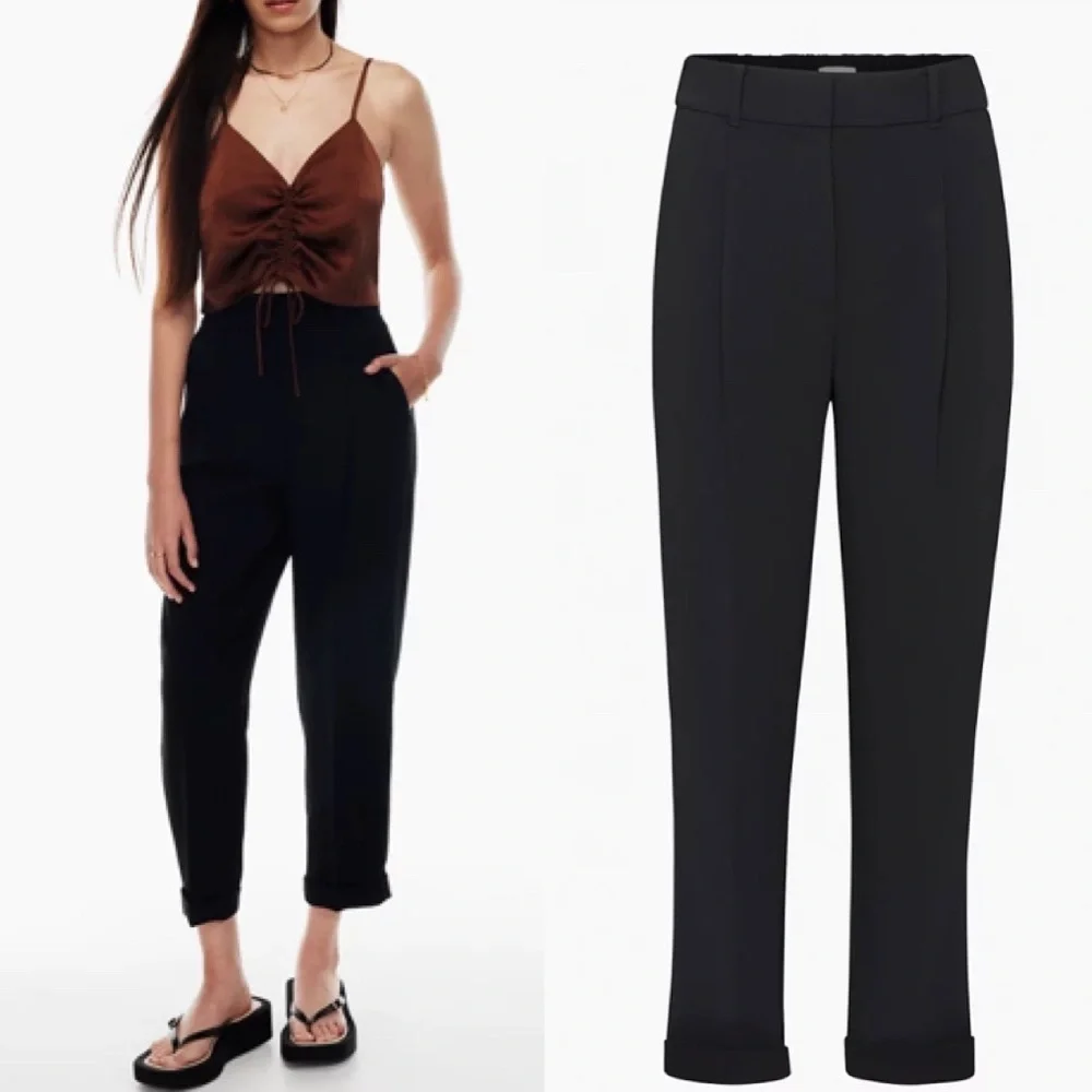 SOLD Aritzia Dashwood Pant - Picture 2 of 12